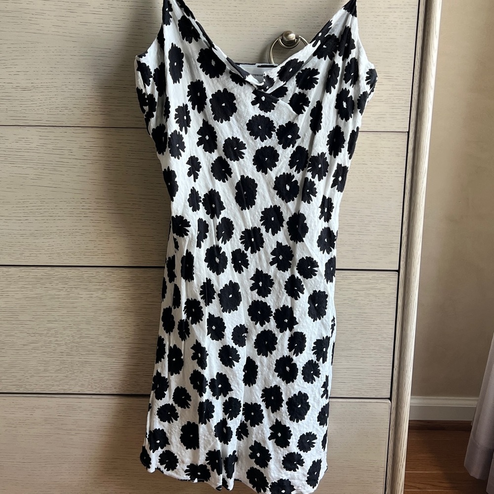 The Impeccable Pig black and white dress